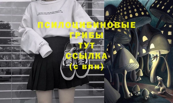 spice Кодинск