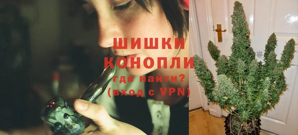 spice Кодинск