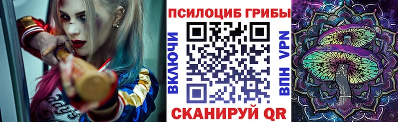 наркошоп  OMG ONION  Псилоцибиновые грибы прущие грибы  это формула  Мытищи 