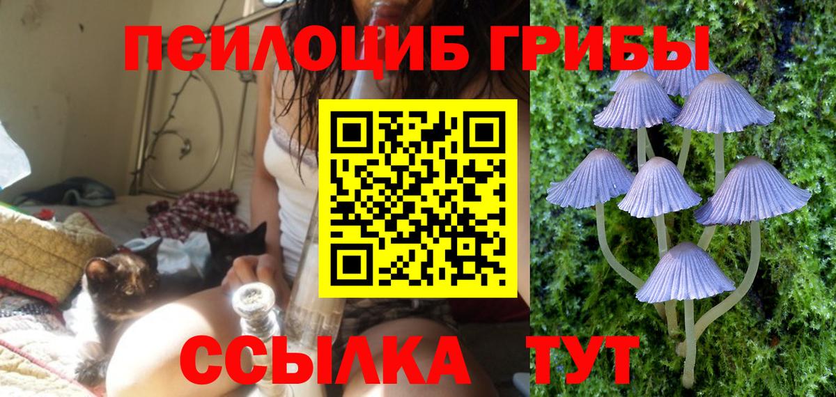 Псилоцибиновые грибы ЛСД  Вход с VPN  Мытищи 