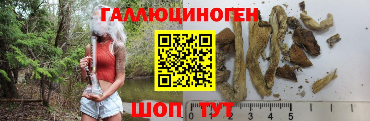Галлюциногенные грибы ЛСД Мытищи